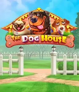 Pragmatic Play's The Dog House, bringing you a fun-filled experience through playful pups. Engage in gameplay elements including sticky wilds, perfect for providing joyful moments. Perfect for animal enthusiasts an amusing theme and the opportunity to win big.